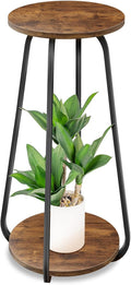 Plant Stand Indoor, 2 Tier Plant Shelf Pedestal Stand Flower Stand, Metal Wood Plant Stands for Indoor Plants Living Room Balcony Deck Garden