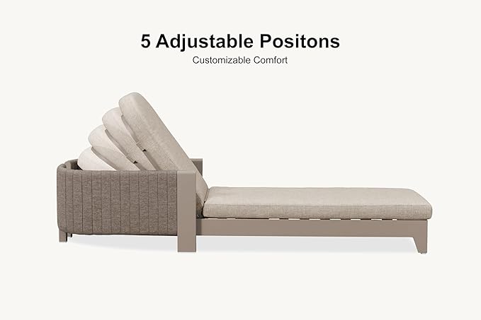 PURPLE LEAF Patio Chaise Lounge with Cushion Aluminum Poolside Sunbathing Tanning Layout Chairs Adjustable Reclining Chairs Set of 2 Nurture Shale