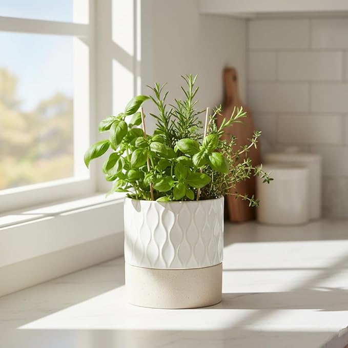 Nihow Self Watering Plant Pot: 4.5 Inch Ceramic Planter with Drainage Hole & Water Storage Plus for Indoor & Outdoor Plants - Cylinder Flower Pot for Herbs/Violets - Cream White & Brown Net