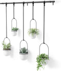 Umbra Triflora Hanging Planter for Window, Indoor Herb Garden, Set of 5, White/Black