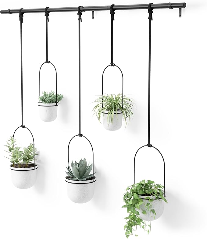 Umbra Triflora Hanging Planter for Window, Indoor Herb Garden, Set of 5, White/Black