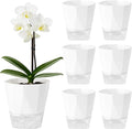 6 Pack Self Watering Plant Pots 6 Inches Self-Watering Planters for Indoor and Outdoor Plants African Violet Succulent Pots Clear Pot for Plants Large Herb Orchid Flower Houseplant Plant, White
