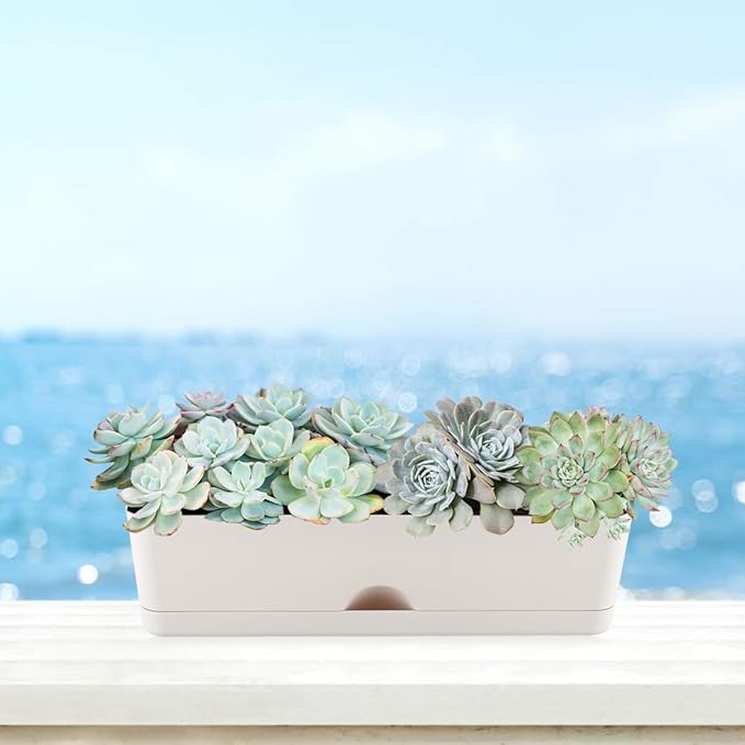 6 Pack Rectangle Planter 16x4.4 Inch Window Boxes Planters Rectangular Large Window Sill Planters Indoor Self Watering Plant Pots with Drainage Holes and Saucers Succulent Herb Flower Pots, Light Grey