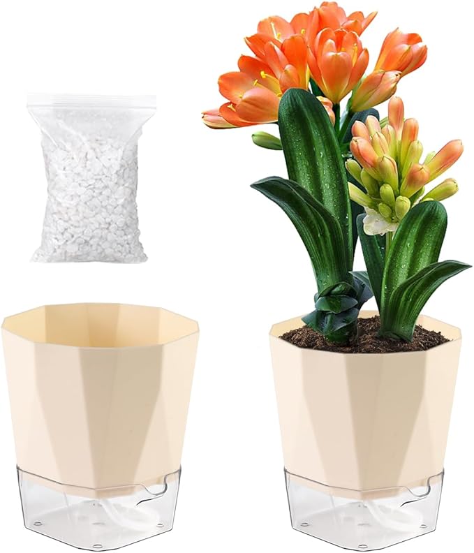2 Pack Self Watering Pots for Indoor Plants, 8.4" Self Watering Planters Large African Violet Self Watering Clear Pots for Plants Large Herb Orchid Flower Houseplant, Ivory White