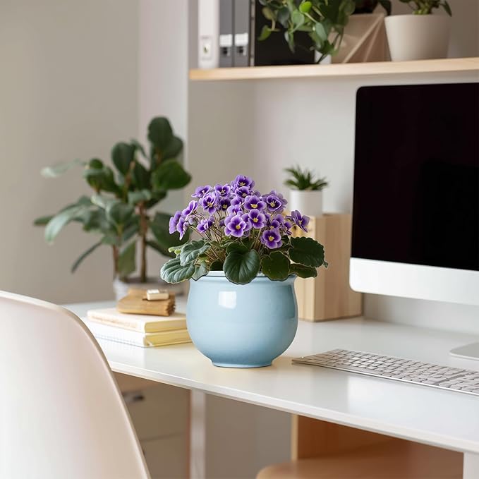 Ceramic African Violet Pots for Indoor Plants, 6 Inch Self Watering Planters with Absorbent Inner Pot, Self Watering Plant Pot, Ceramic Flower Pots, Desk Decor, Housewarming Gifts, Light Blue