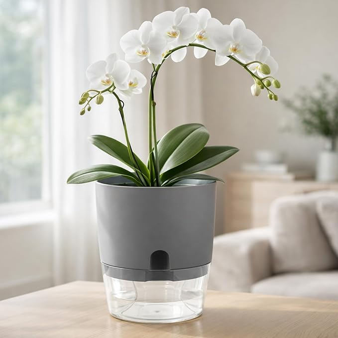 Planterhoma 5 Pack Self Watering Pots for Indoor Plants, 9 Inch Plant Pot Plastic Self Watering Planter for Orchid, Monstera, Lily, Large Clear Flower Pots with Drainage Holes and Wicking Rope, Gray