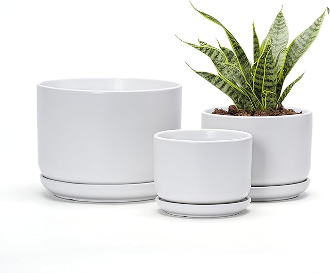 Ton Sin Plant Pots, 4.1+5.1+6.5 inch, Set of 3, Ceramic Planters with Drainage Hole and Saucer, Indoor Flower Pot with Drainage Hole, Gifts for Mom(Matte White)