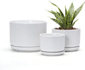 Ton Sin Plant Pots, 4.1+5.1+6.5 inch, Set of 3, Ceramic Planters with Drainage Hole and Saucer, Indoor Flower Pot with Drainage Hole, Gifts for Mom(Matte White)