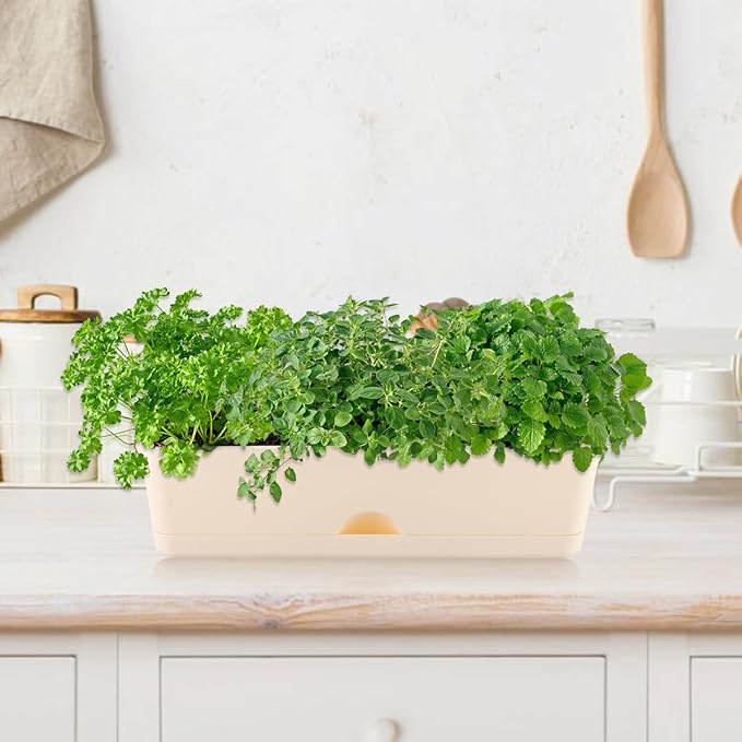 6 Pack Rectangle Planter 16x4.4 Inch Window Boxes Planters Rectangular Large Window Sill Planters Indoor Self Watering Plant Pots with Drainage Holes and Saucers Succulent Herb Flower Pots, Beige