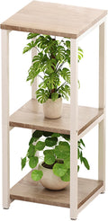 Plant Stand Indoor Corner Tall 3 Tier Metal Modern Flower Storage Plant Shelf Holder for Living Room Balcony Garden,White (3 Tier-White)
