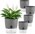 Planterhoma 5 Pack Self Watering Pots for Indoor Plants, 9 Inch Plant Pot Plastic Self Watering Planter for Orchid, Monstera, Lily, Large Clear Flower Pots with Drainage Holes and Wicking Rope, Gray