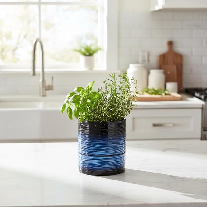 Nihow Self Watering Plant Pot: 6 Inch Ceramic Planter with Drainage Hole & Water Storage Plus for Indoor & Outdoor Plants - Cylinder Round Flower Pot for Succulent/Herbs/Violets - Black & Vivid Blue