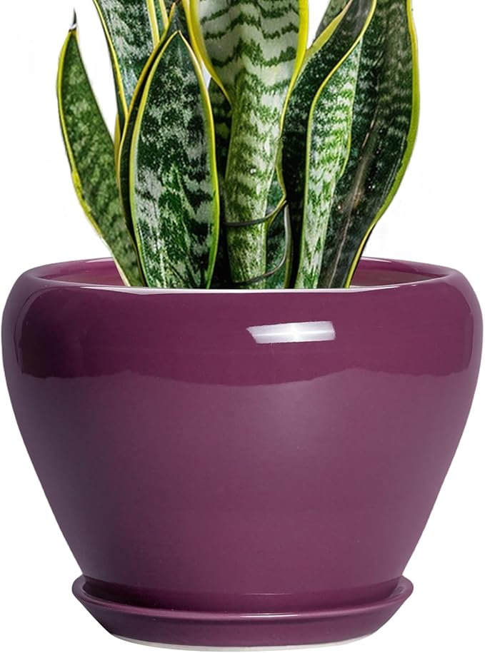 Ceramic Planter - 8 Inch Plant Pot Indoor with Drainage Hole and Saucer, Glaze Decorative Planter, Round Flower Pot, Plant Lover Gifts, Home Garden Office Decor, Purple