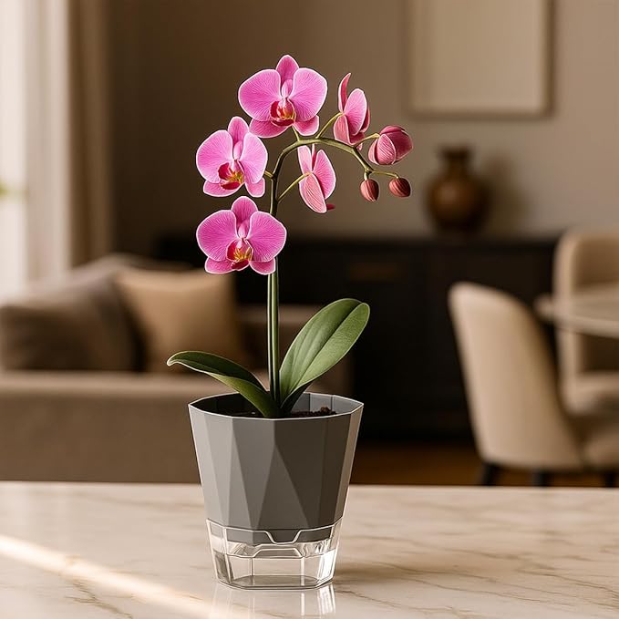 5 Pack Self Watering Pots for Indoor Plants, 6.7 Inches Self Watering Planters African Violet Pots Clear Pots for Herb Orchid Flower Houseplant, Dark Grey