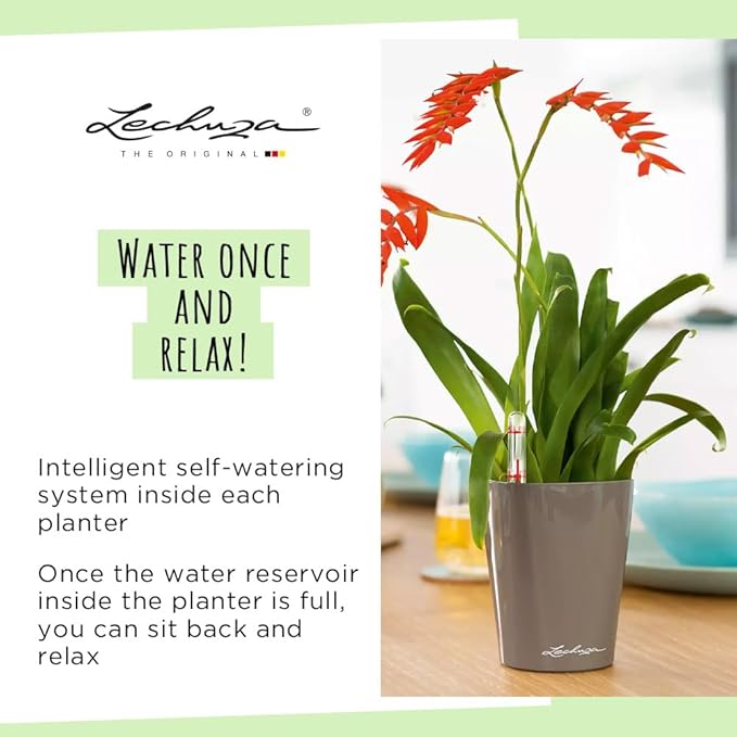 Lechuza MINI-DELTINI Charcoal Metallic, Self-Watering Small Indoor Planter, H5.1 L3.9 W3.9 in