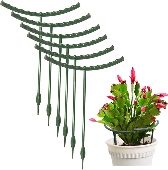 Mwellewm 10 Pack Plant Support Plant Stakes Metal Half Round Search Support Ring Small Plastic Cage Holder Short Stem Flower Pot Climbing Trellis for House Flower Vegetable Indoor Leafy(5.7 x 5.9nch)