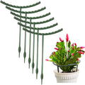 Mwellewm 10 Pack Plant Support Plant Stakes Metal Half Round Search Support Ring Small Plastic Cage Holder Short Stem Flower Pot Climbing Trellis for House Flower Vegetable Indoor Leafy(5.7 x 5.9nch)