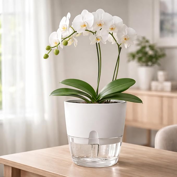 Planterhoma 5 Pack Self Watering Pots for Indoor Plants, 9 Inch Plant Pot Plastic Self Watering Planter for Orchid, Monstera, Lily, Large Clear Flower Pots with Drainage Holes and Wicking Rope, White