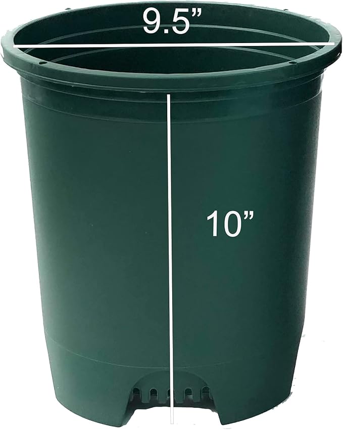 3 Gallon 6-Pack Plant Pots Nursery Pot Green Plastic Planters for Outdoor Indoor Plants Gardening Flower Pots with Drainage Holes