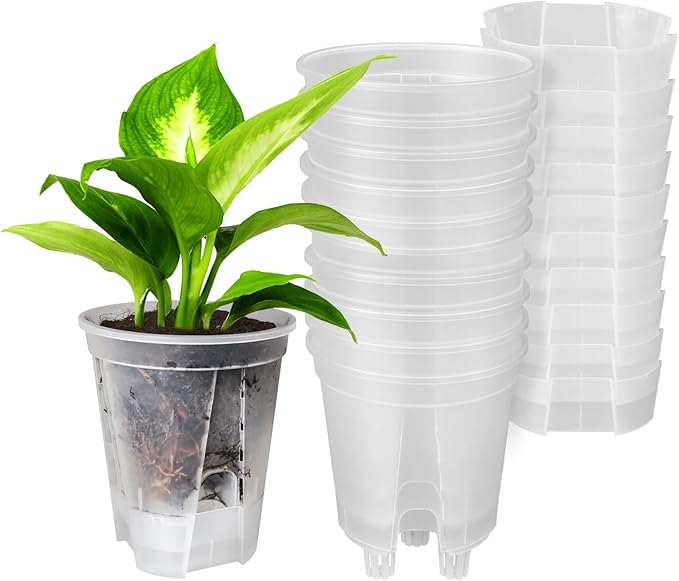 GREENPARA 5-Inch Self-Watering Plant Pots - 10-Pack Clear Plastic Planter with Deep Reservoir, Drainage Holes for Indoor Outdoor Gardens, Herbs, Succulents, and Flowers