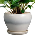 Planter Pot 6 Inch - Ceramic Plant Pot with Drainage Hole and Saucer, Round Glaze Succulent Pot for Plants, White