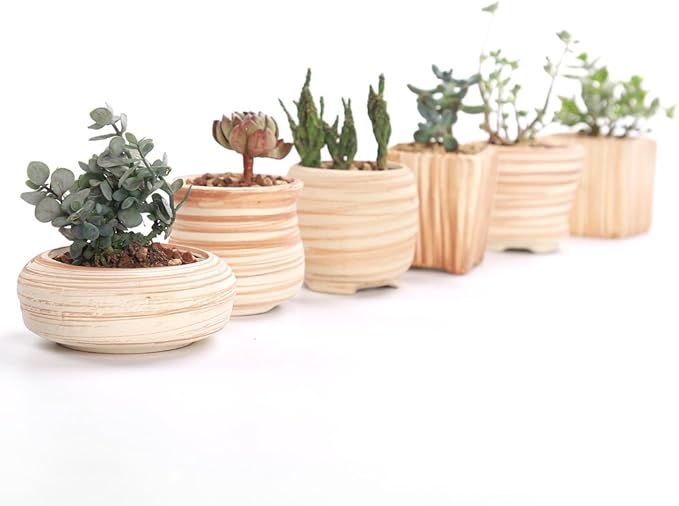 Sun-E 6 in Set 7.6 cm Ceramic Wooden Pattern Succulent Plant Pot Cactus Plant Pot Flower Pot Container Planter Gift Idea