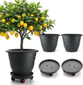 3-Pack Jumbo 15.7 Inch Planters with Rolling Saucers & Drainage – Large Flower Pots for Indoor/Outdoor, Heavy-Duty Moving Trays, Fits Tall Plants (Set of 3, Black)