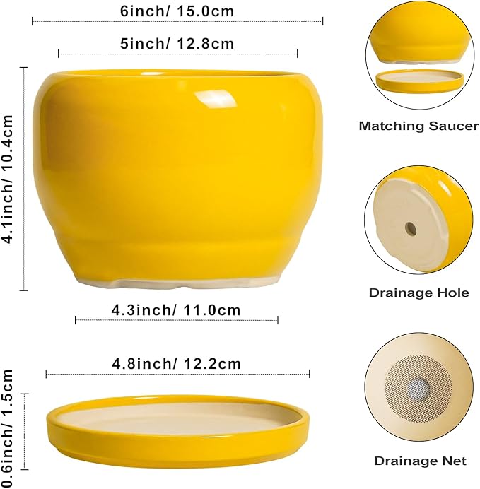 SQOWL 6 Inch Plant Pot - Ceramic Planter with Drainage Hole and Saucer, Modern Ceramic Flower Pots for Indoor Plants Outdoor, Round Decorative Small Planter, Desk Decor, Garden Gifts, Yellow