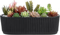 MyGift 12 Inch Ceramic Succulent Planter, Oval Matte Black Planter Pot with Drainage Holes, Indoor Plants Flower Herb Garden Pot Window Box