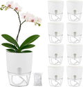 Planterhoma 8 Pack Self Watering Pots for Indoor Plants, 6 Inch Plant Pot Plastic Self Watering Planter for Orchid, African Violet, Small Clear Flower Pots with Drainage Holes and Wicking Rope, White