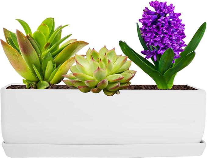 Vencer 14 Inch Rectangular Modern Minimalist Ceramic Succulent Planter Pot - Window Box with Saucer,Office Desktop Potted Stand,White,VF-0173W