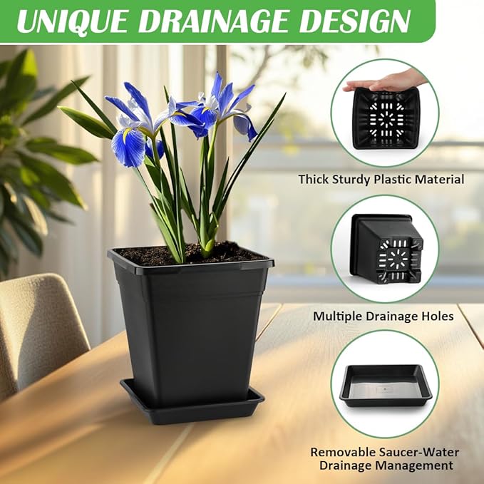 BTPLASTIK Square Plastic Planter 8 Inch, Plant Pots with Drainage Hole & Tray, 10 Pack Modern Decorative Garden Pot with Saucer, 1 Gallon Flower Pots Planters for Indoor Outdoor Plants