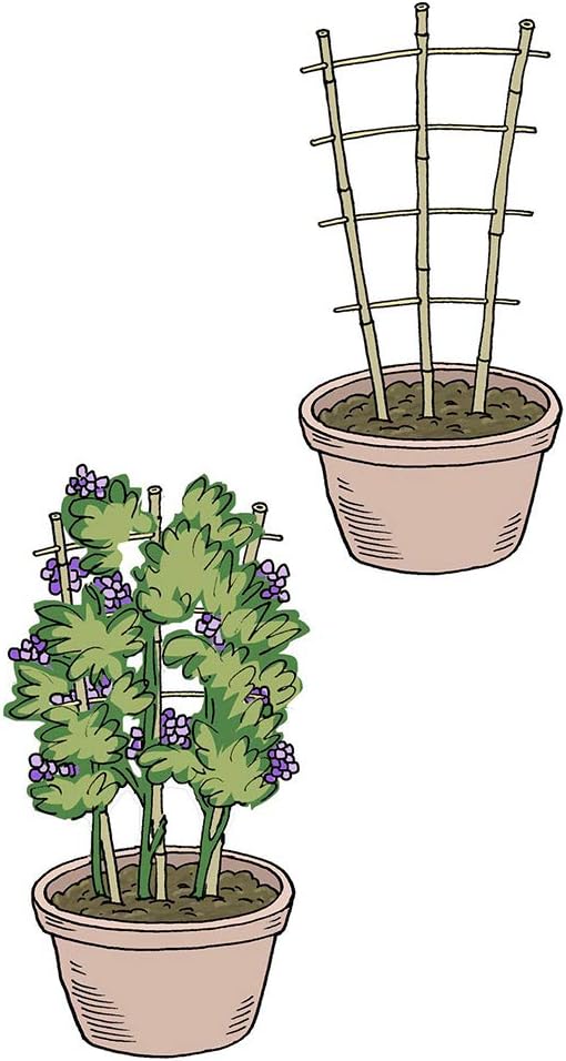 Natural Bamboo Trellis 24 Inches Tall, Mininfa Garden Ladder Trellis, Plant for Climbing Plants, Vegetables, Pots - 3 Pack