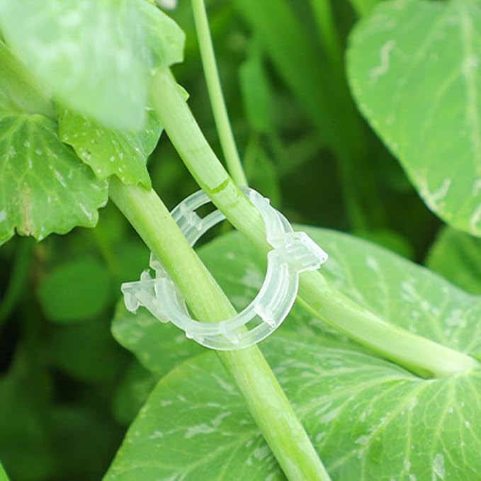 Plant Support Clips, 100 Pcs Tomato Clips, Plastic Trellis Clips, Grape Vine Tomato Vine Vegetables Plants Garden Support Clips to Grow Upright Makes Plants Healthier (Plastic, White)