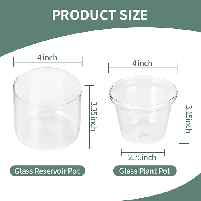 4 Inch Self Watering Pot,African Violet Pot,Bottom Watering Glass Planter for Indoor Plants and Progagation