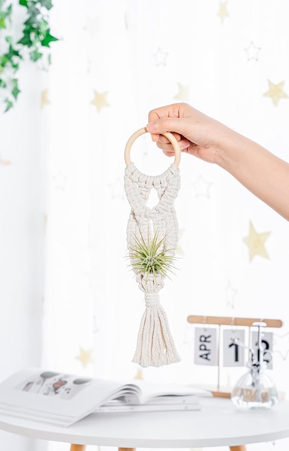Melphoe 4 Pack Air Plants Holders Stand Air Fern Macrame Plant Hanger Indoor Hanging Planter Basket for Tillandsias Display, Boho Home Decoration Gift Idea