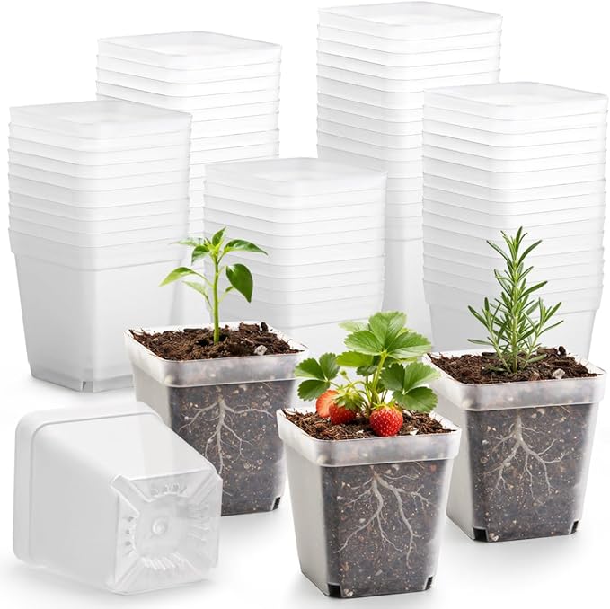 120 Packs Square Clear Nursery Pots with Drainage, 2.7 Inch Plastic Seedling Pots for Indoor Plants, Thickened Small Transplant Pot for Seed Starting Succulents Vegetables Lettuce Flowers