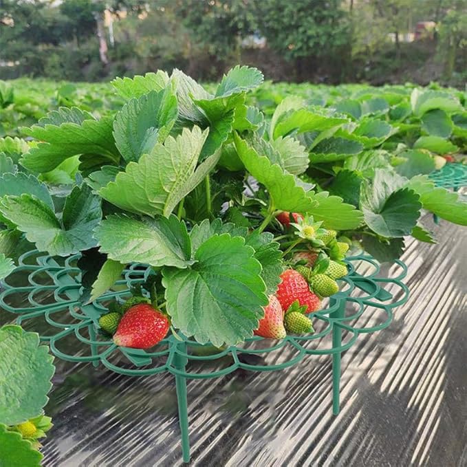 Comimark 12 PCS Grow Your Garden with This Stylish Strawberry Wavy Bracket - Balcony Potted Vegetable Rack