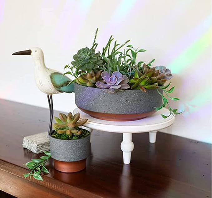 The HC Companies 8 Inch Round Plastic Succulent Capri Bowl 8"x8"x3" in Faux Concrete Color with Copper Band