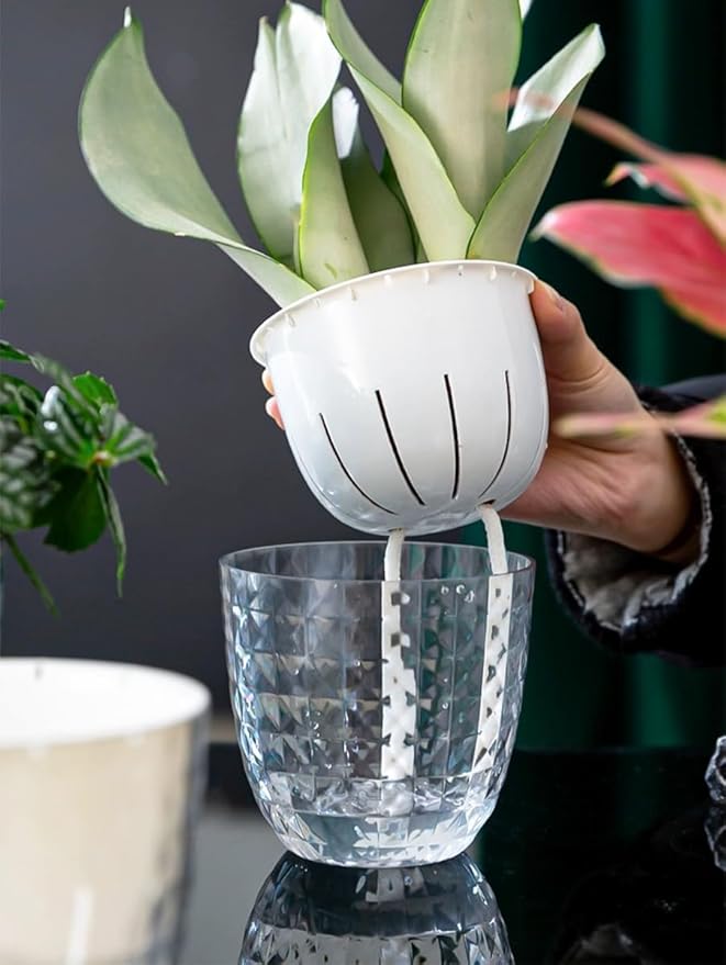 6 Pack 4 inch Self Watering Pots Planters for Indoor Plants, African Violets Pots with Wick Rope, Modern Plastic Nursery Pots for All House Plants,Flowers Succulents,Herbs,Cactus,Orchids