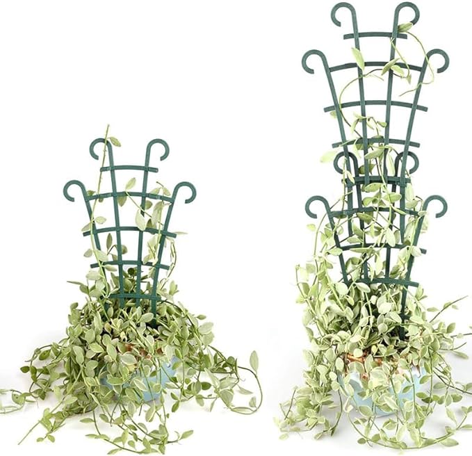 6PCS Trellis for Potted Plants, Stackable Indoor Plant Trellis for Climbing Plants Outdoor for Vine Ivy Hoya Houseplants Flower Plant Support