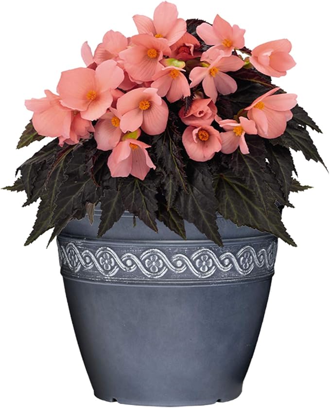 Classic Home and Garden Corinthian Resin Flower Pot Planter, Storm Blue, 8" (Pack of 4)