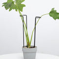 10-Pack Monstera Plant Support - 12 Inch Durable Iron U-Shaped Trellis Stakes for Indoor & Outdoor Medium-Sized Potted Plants - Perfect Stem Holder for Monstera & More
