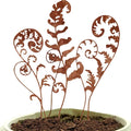Metal Flowers for Outside,Set of 6 Fern Plants Garden Stakes Decorative Statues,Yard Art Outdoor Plant Decorations for Pots (Brown)