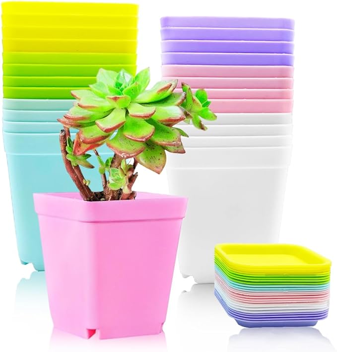 Haawooky 24 Pack Colorful Flower Pots Square Plastic Plant Pots Succulent Planter Nursery Pots with Saucers for Your Room,Garden Office and Balcony Decor