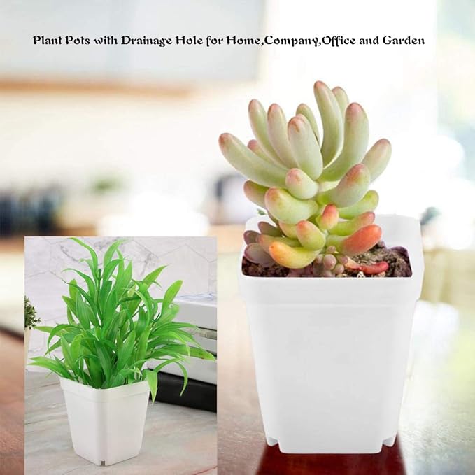 24 Pack 3 Inch White Square Plastic Plant Pots with Saucers,Nursery Seedling Pots with Drainage Hole,Small Planter Containers for Succulents,Flowers,Indoor Outdoor Garden,Home Office Balcony Decor