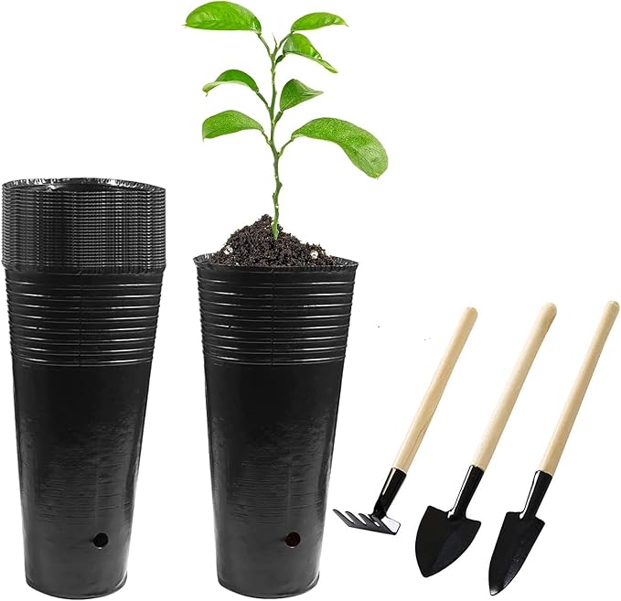 20 Pcs Plastic Deep Nursery Pots - 9.8" Tall Tree Pots, Indoor/Outdoor Use with 3 Pcs Garden Tools