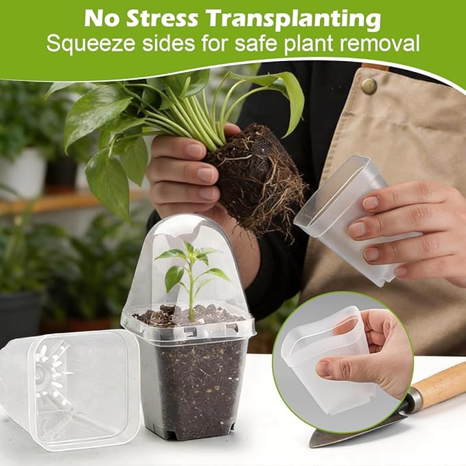 2.7 Inch Square Nursery Pots with Humidity Dome, 60 Packs Clear Seedling Pots with Drainage Holes, Reusable Propagation Pots Small Plant Container for Indoor Outdoor Gardening