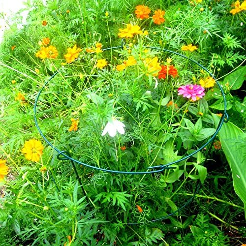 MTB Supply 5 Pack 36" x 18" Peony Double Ring Plant Support,Plant Support Stakes for Tomatoes Peony Lily Rose Plant Support Rings Peony Cages for Outdoor Plants Flowers Vegetables