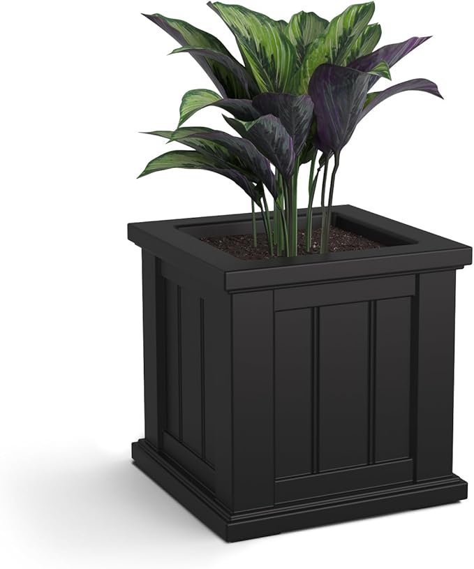 Mayne Cape Cod 14-Inch Square Planter – Self-Watering, Weather-Resistant Planter for Flowers – Durable Outdoor Design for Patio, Porch, or Entryway